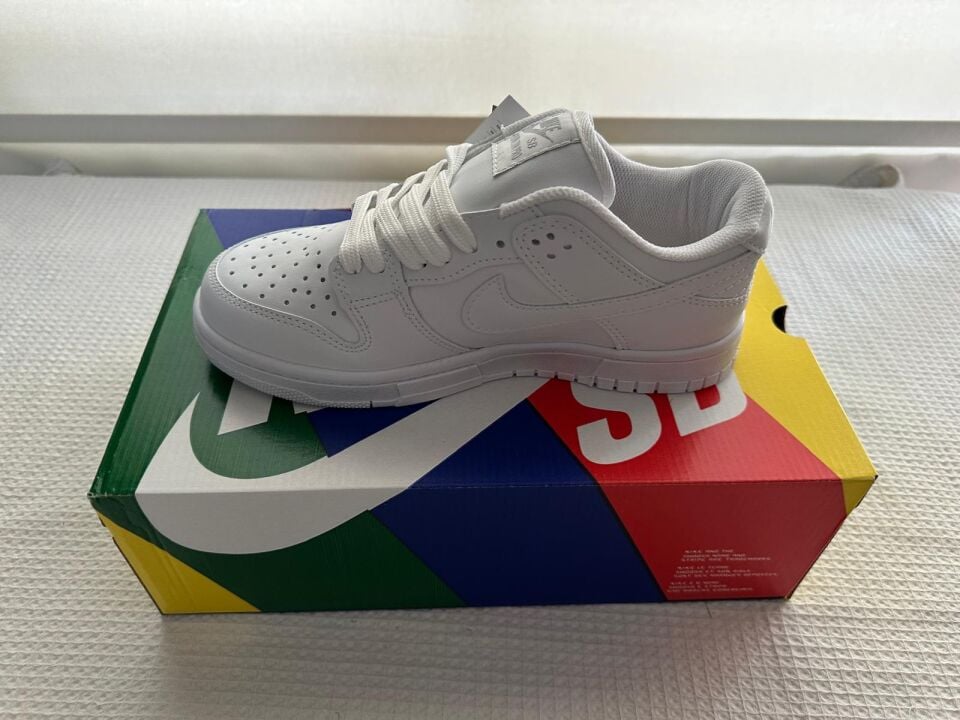 DUNK LOW PRO
