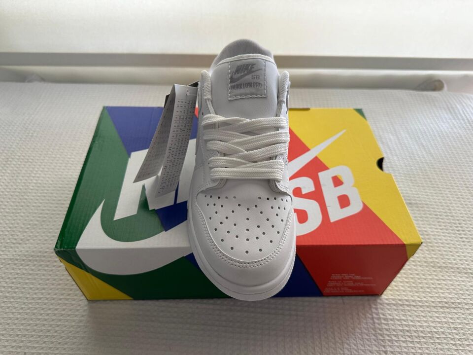 DUNK LOW PRO