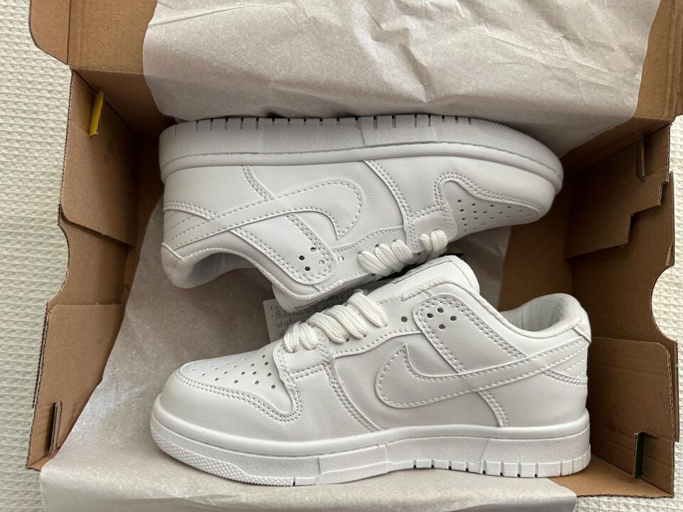 DUNK LOW PRO